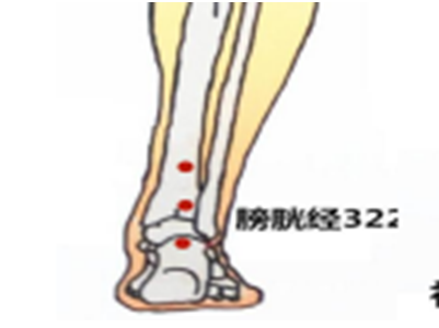 膀胱经322.png