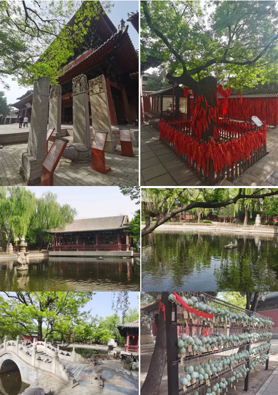 游览古城正定大佛寺2.png
